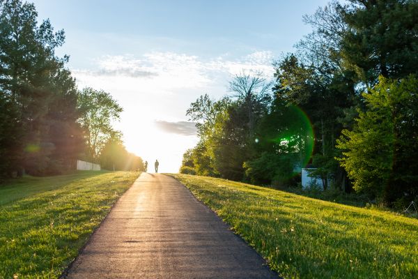 Asphalt Pathway Installation in Ocala