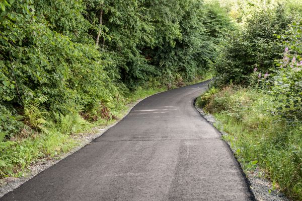 Asphalt Driveway Replacement in Ocala